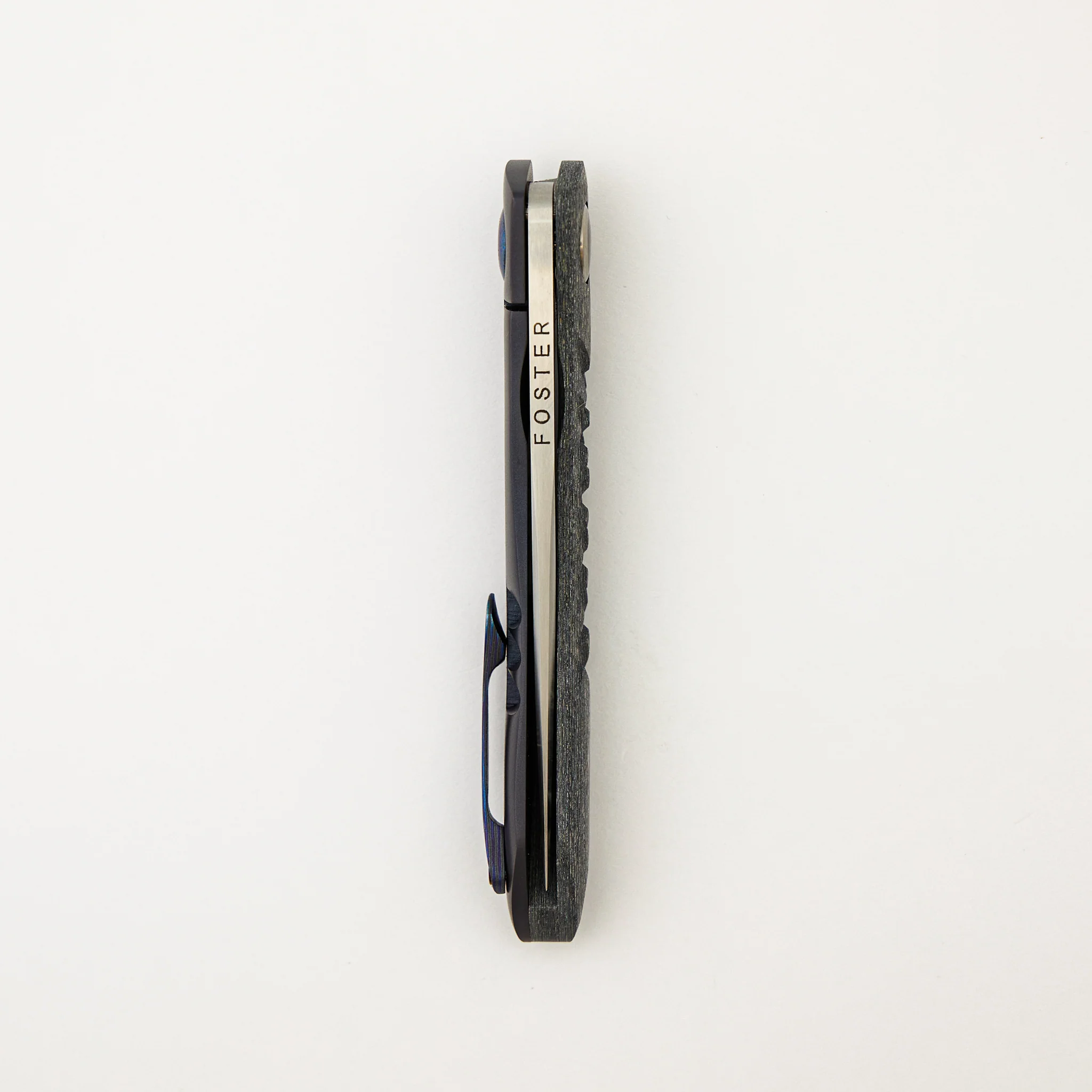 Anchovy - Image 5
