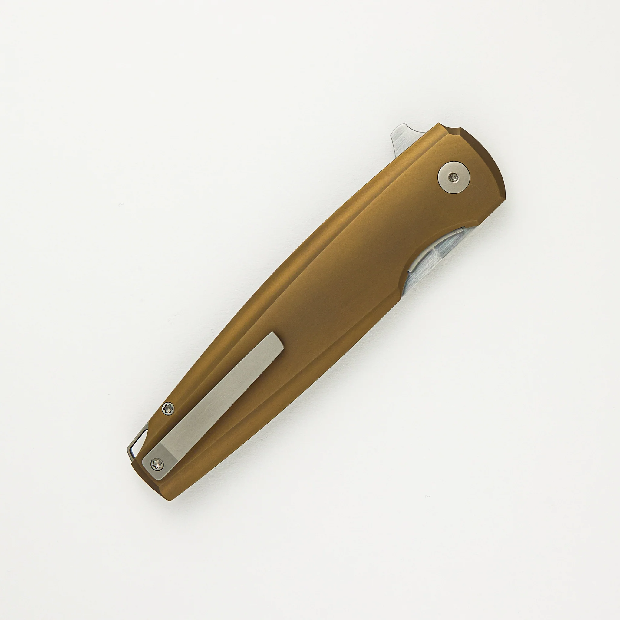 Isotelus - Image 4