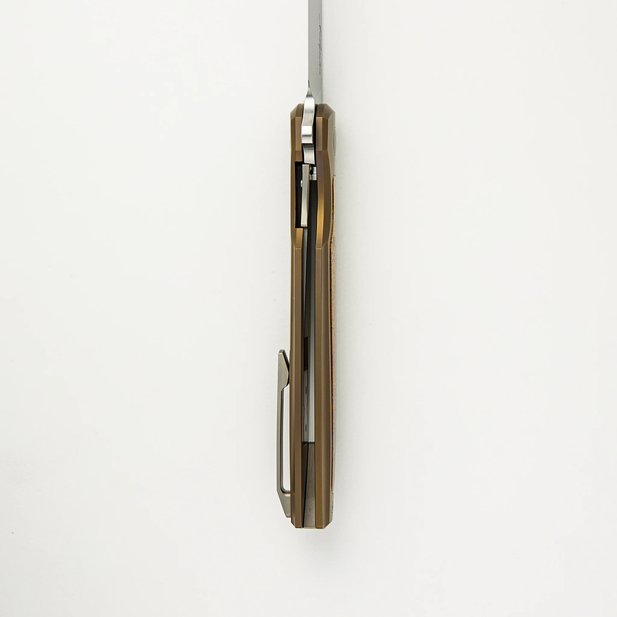 Isotelus - Image 6