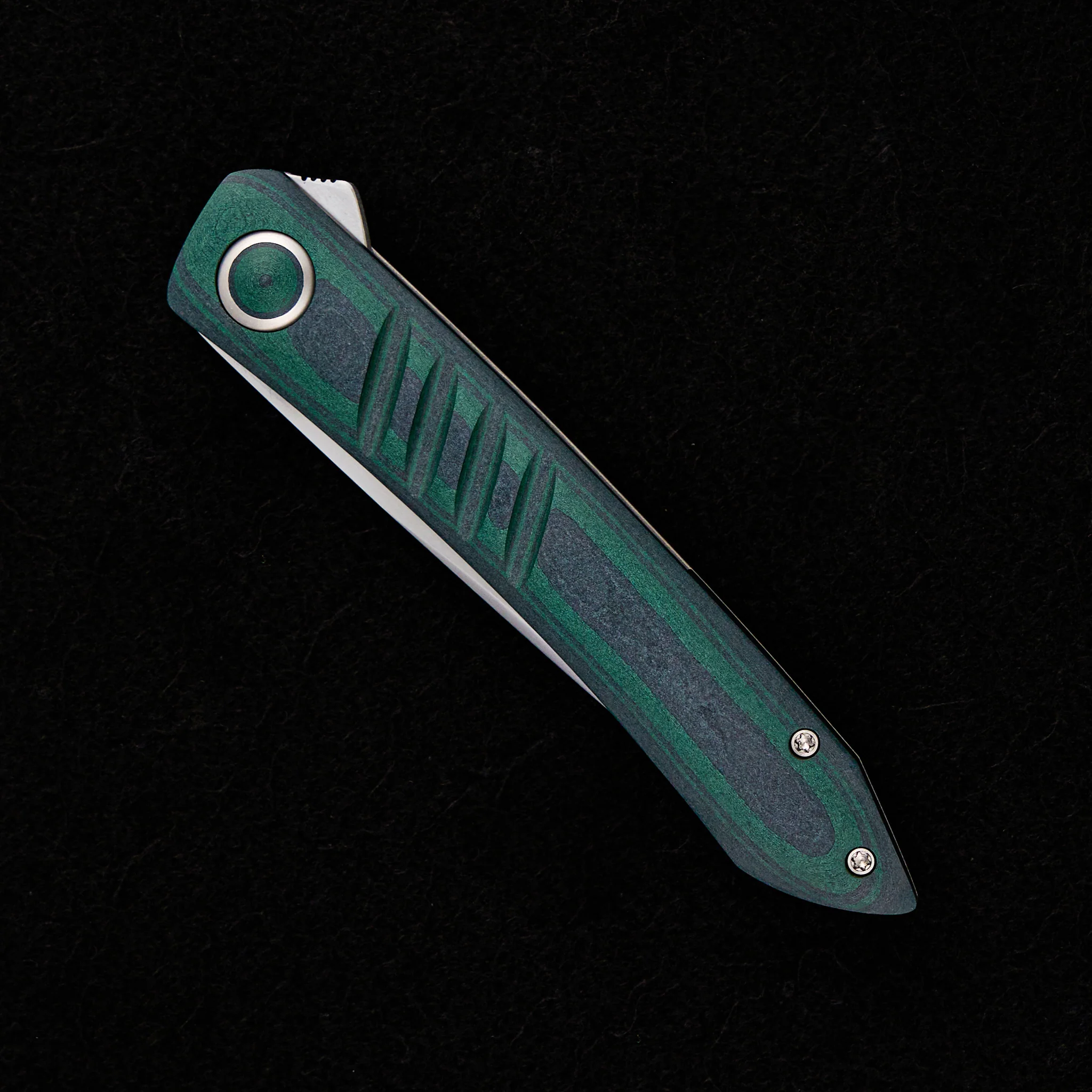 Anchovy - Image 5