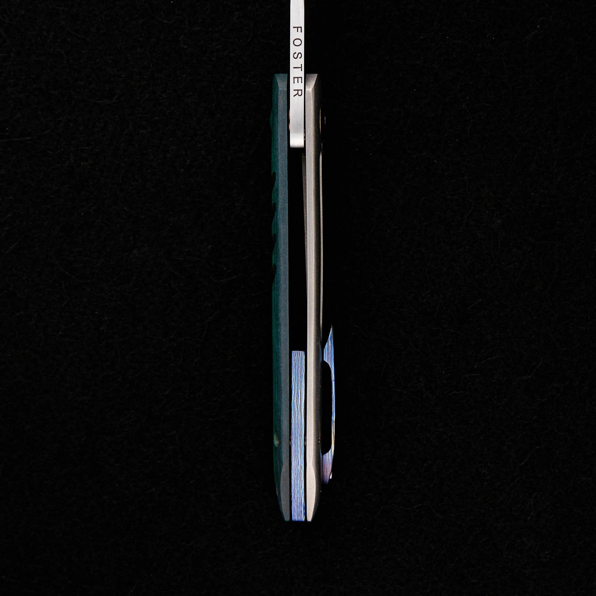 Anchovy - Image 9