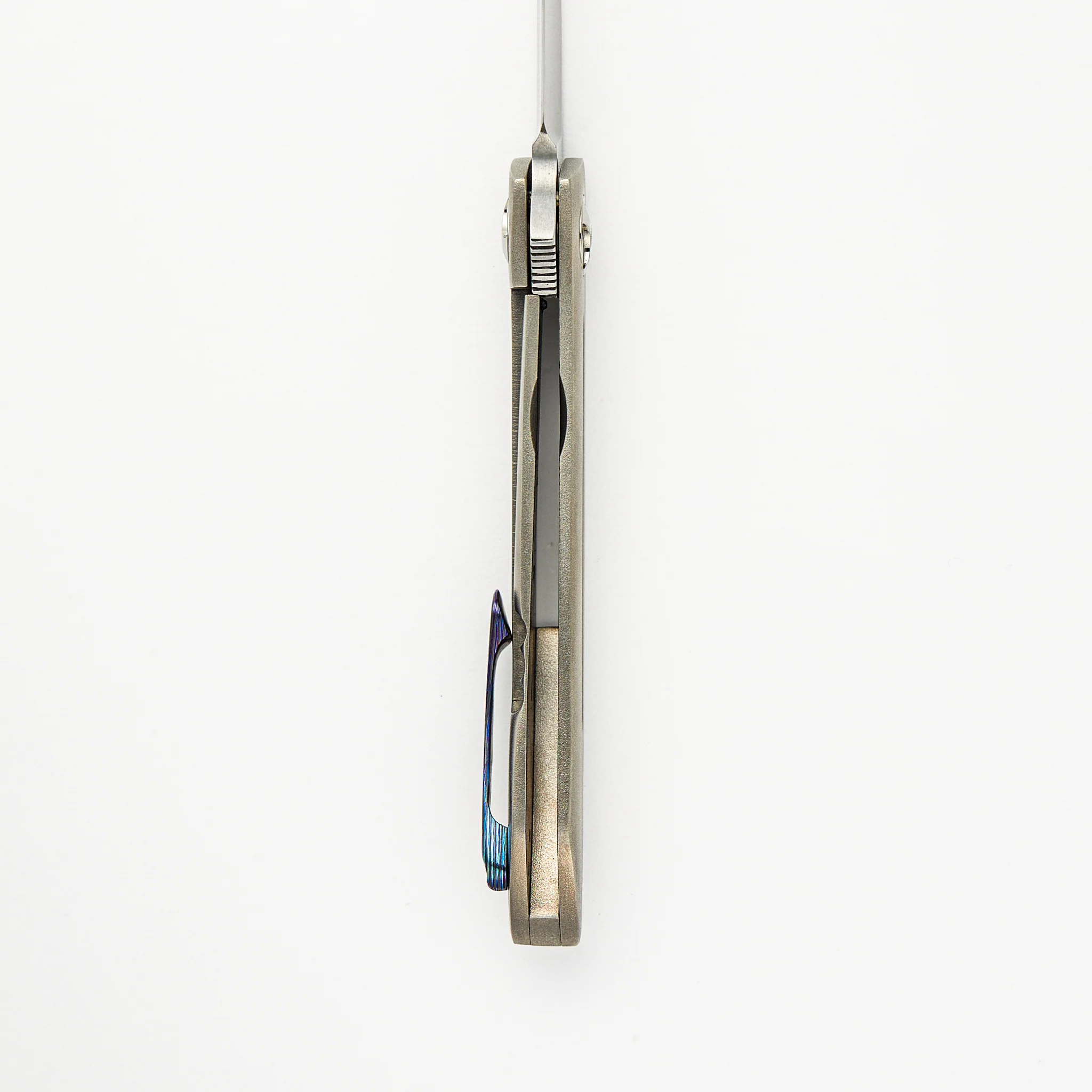 Anchovy - Image 6