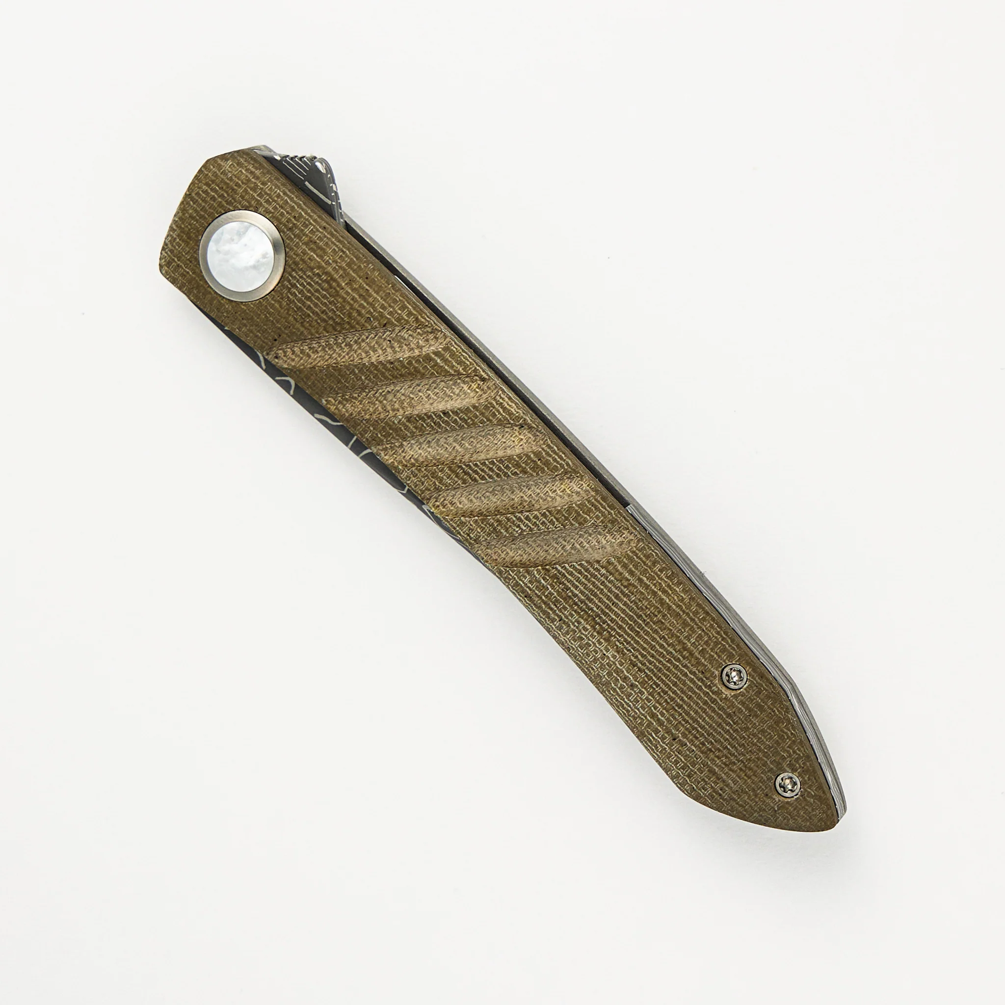Anchovy - Image 3