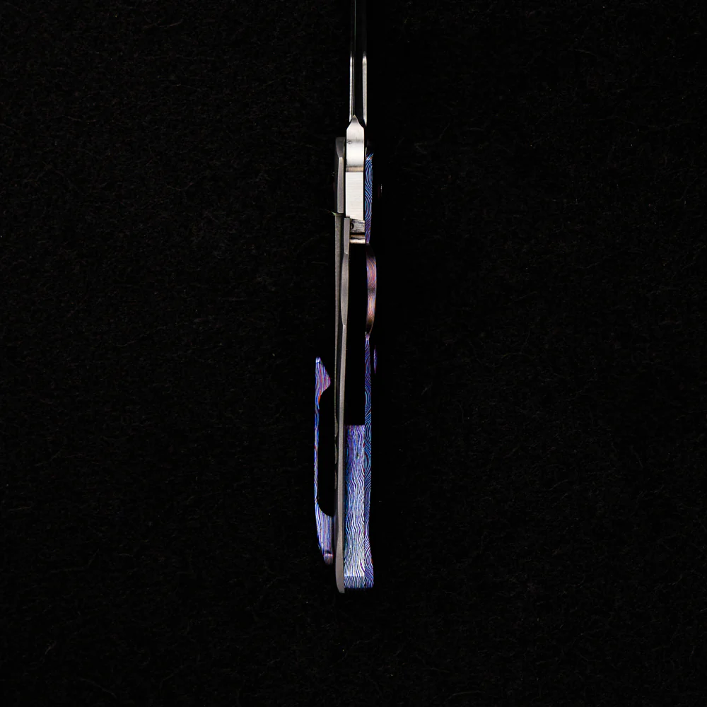Lil Anchovy - Image 7