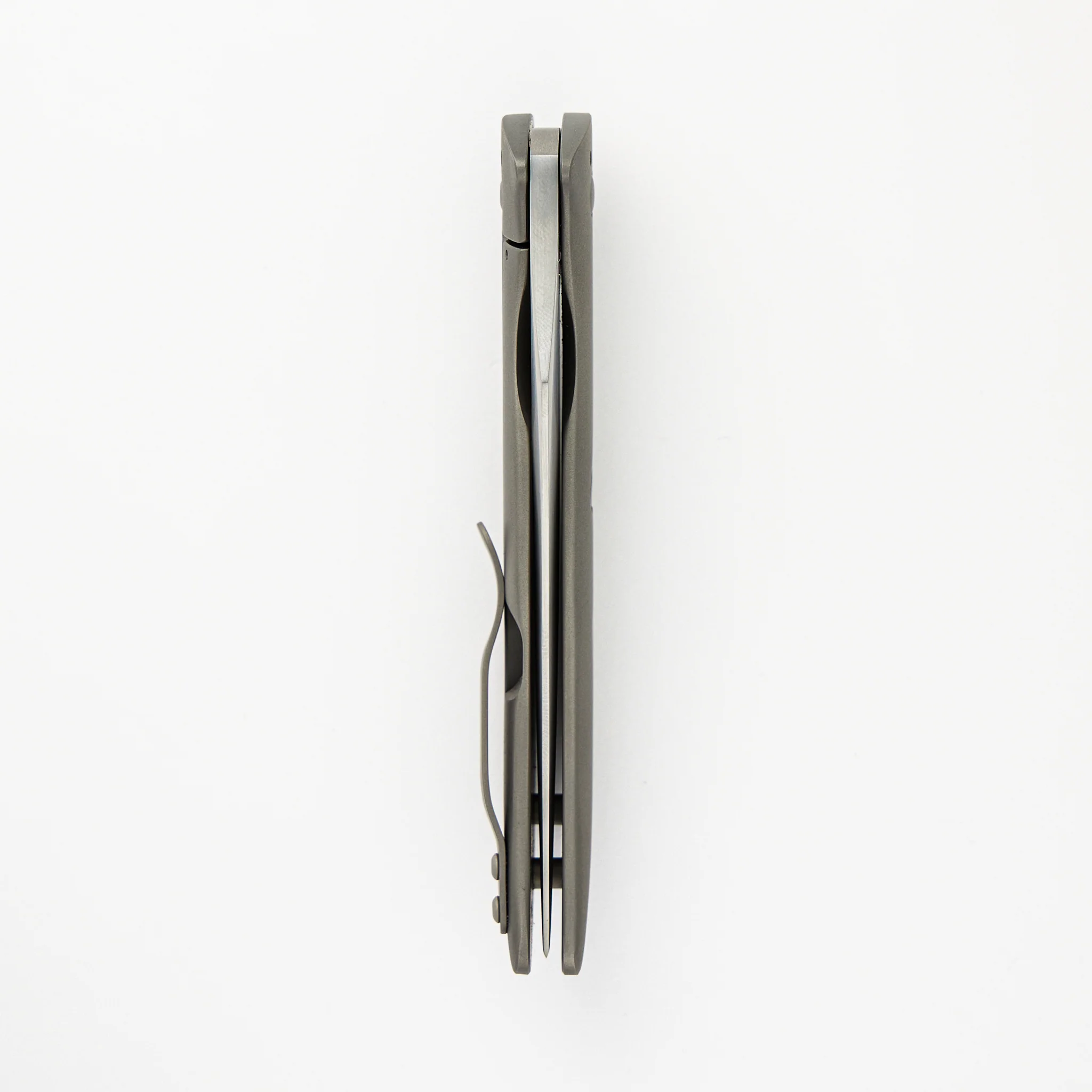 Persian Flipper MOA - Image 6