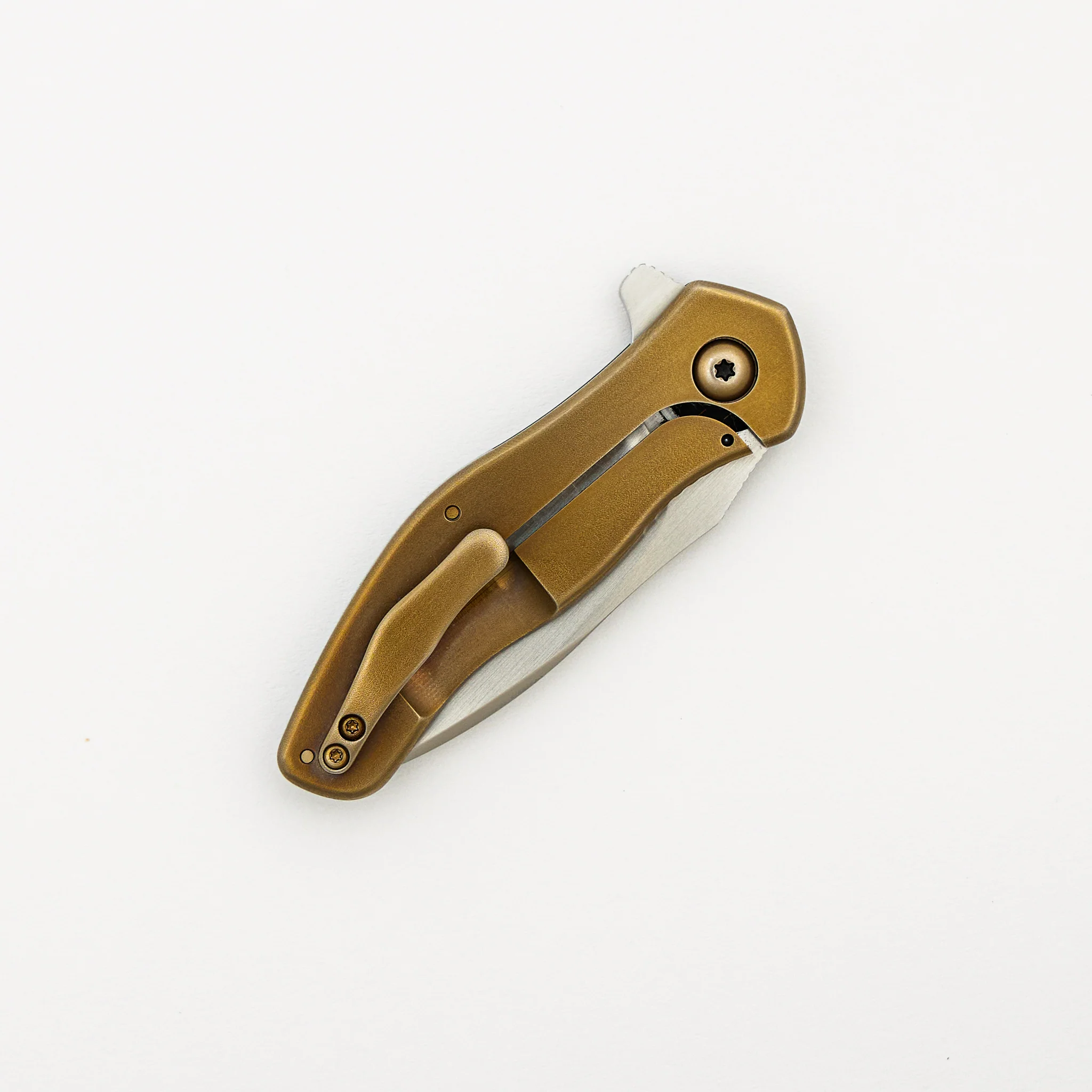 Prawn #030 - Image 4