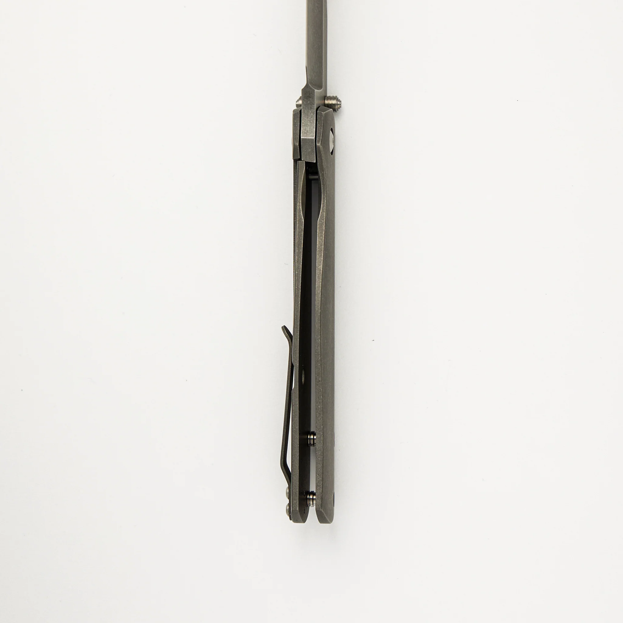 Albatross - Image 6