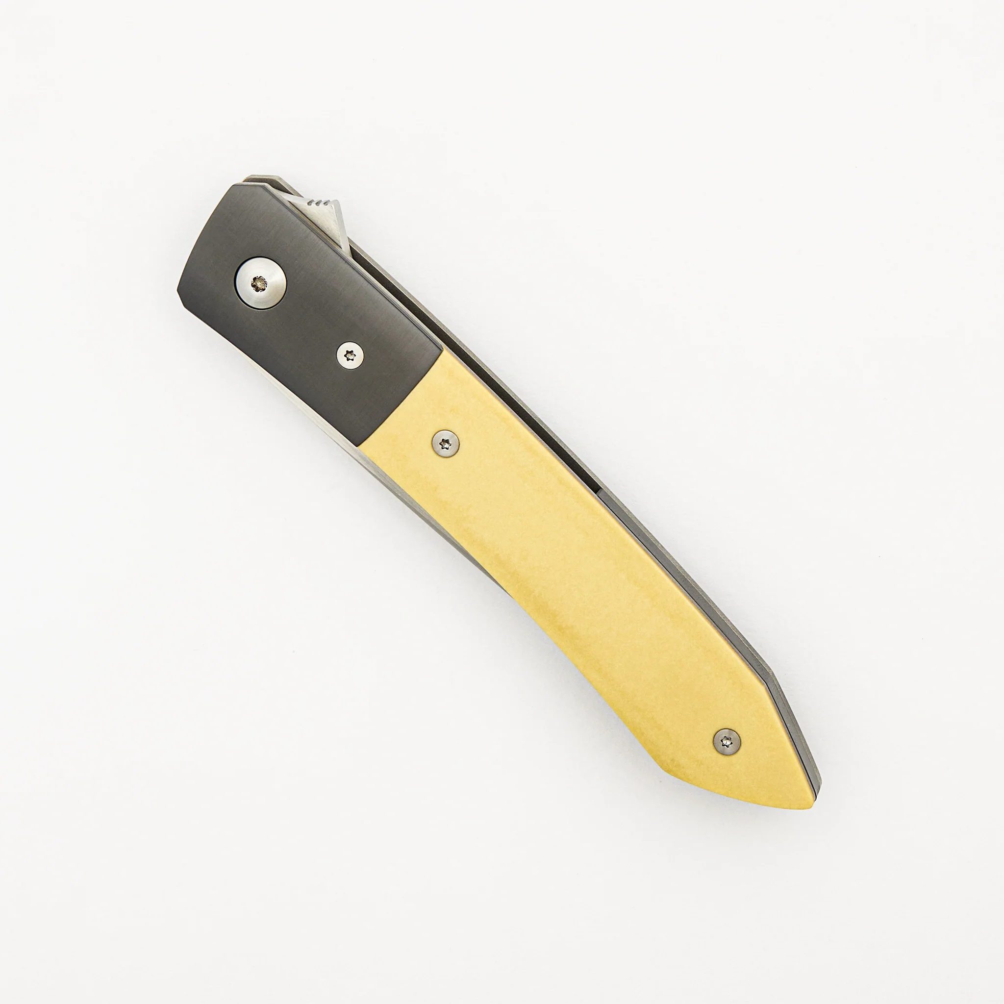 Ray Laconico Collaboration Anchovy - Image 3