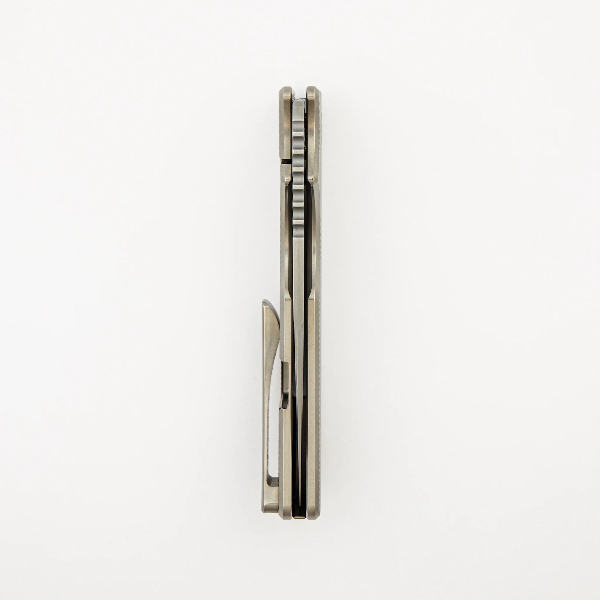 Roosevelt XL #0019 - Image 5