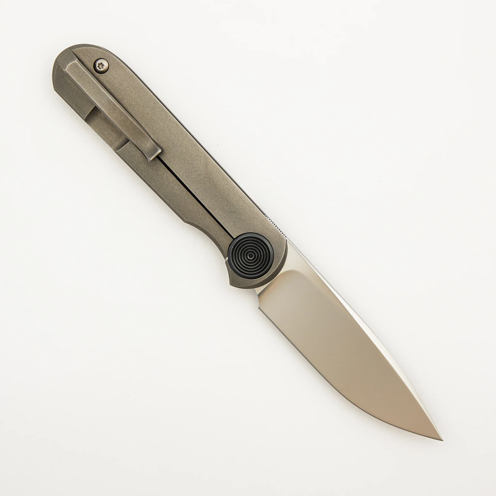 Shamwari - Image 2