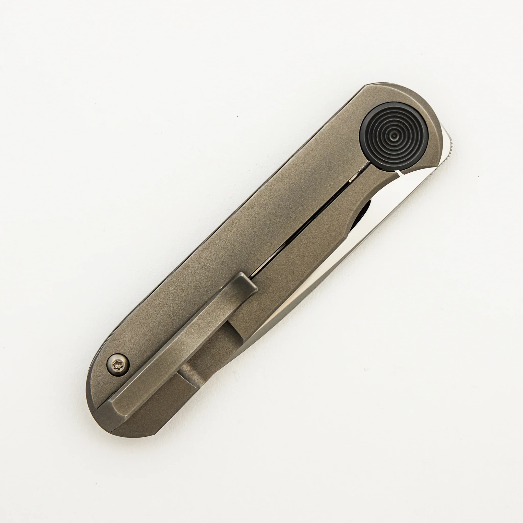 Shamwari - Image 4
