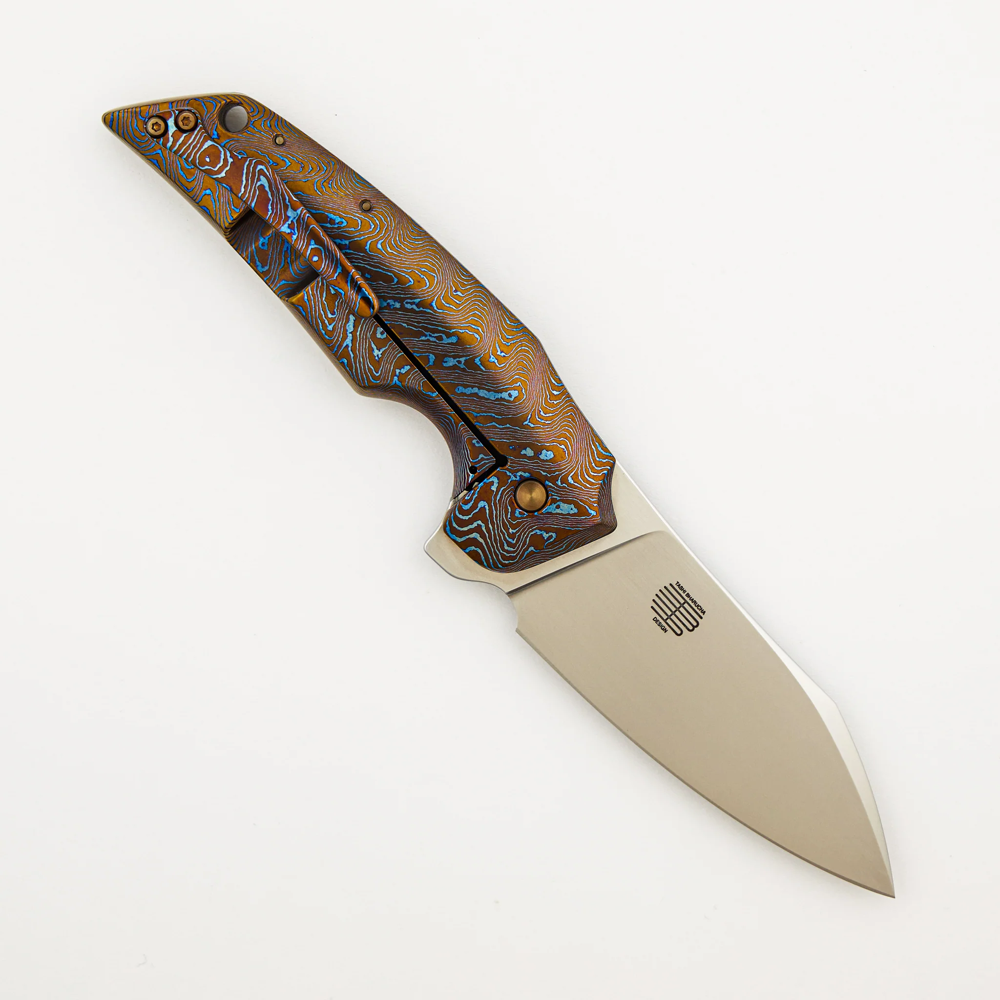 Tashi Bharucha Collaboration HiFi - Image 2