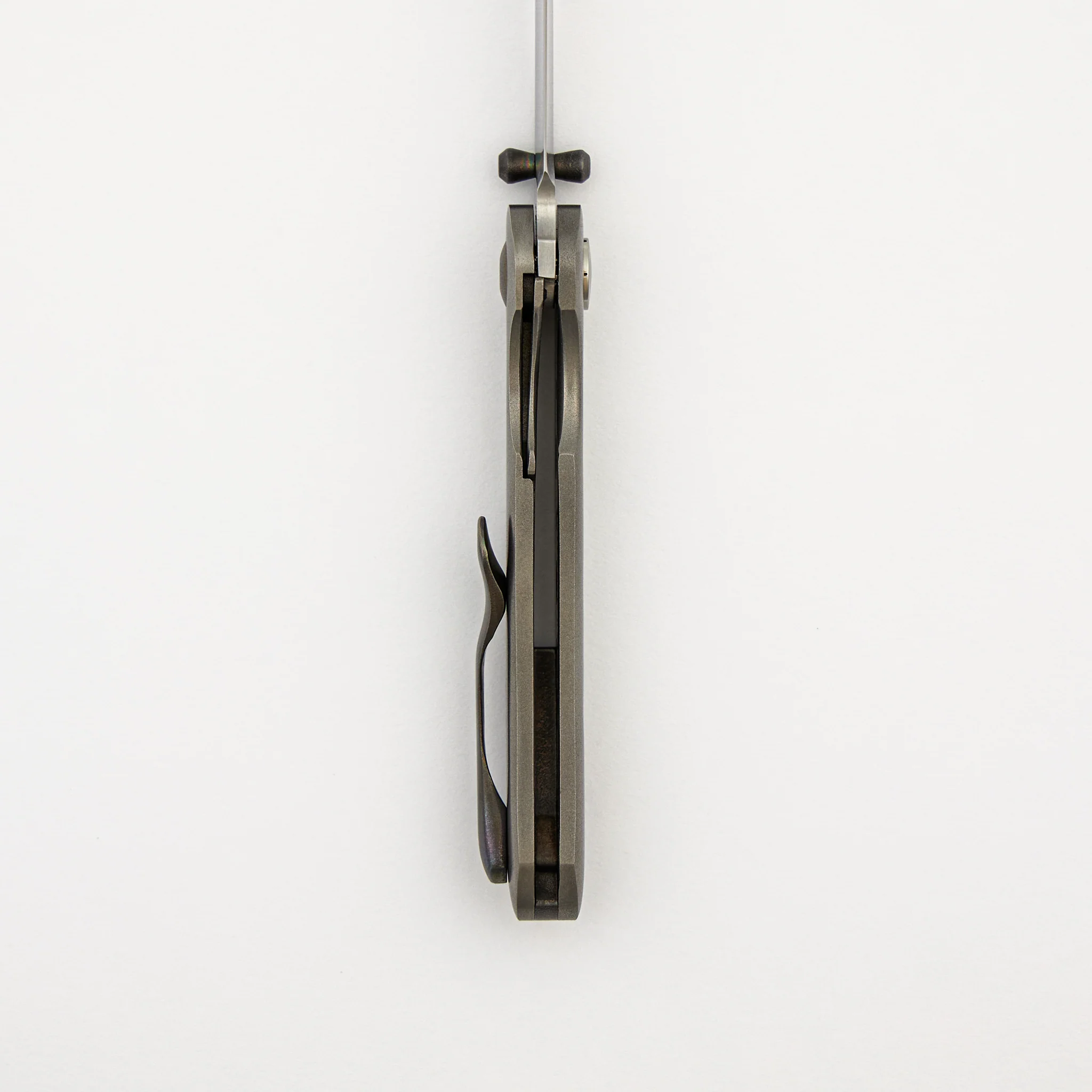 Texas Lil' Anchovy - Image 6