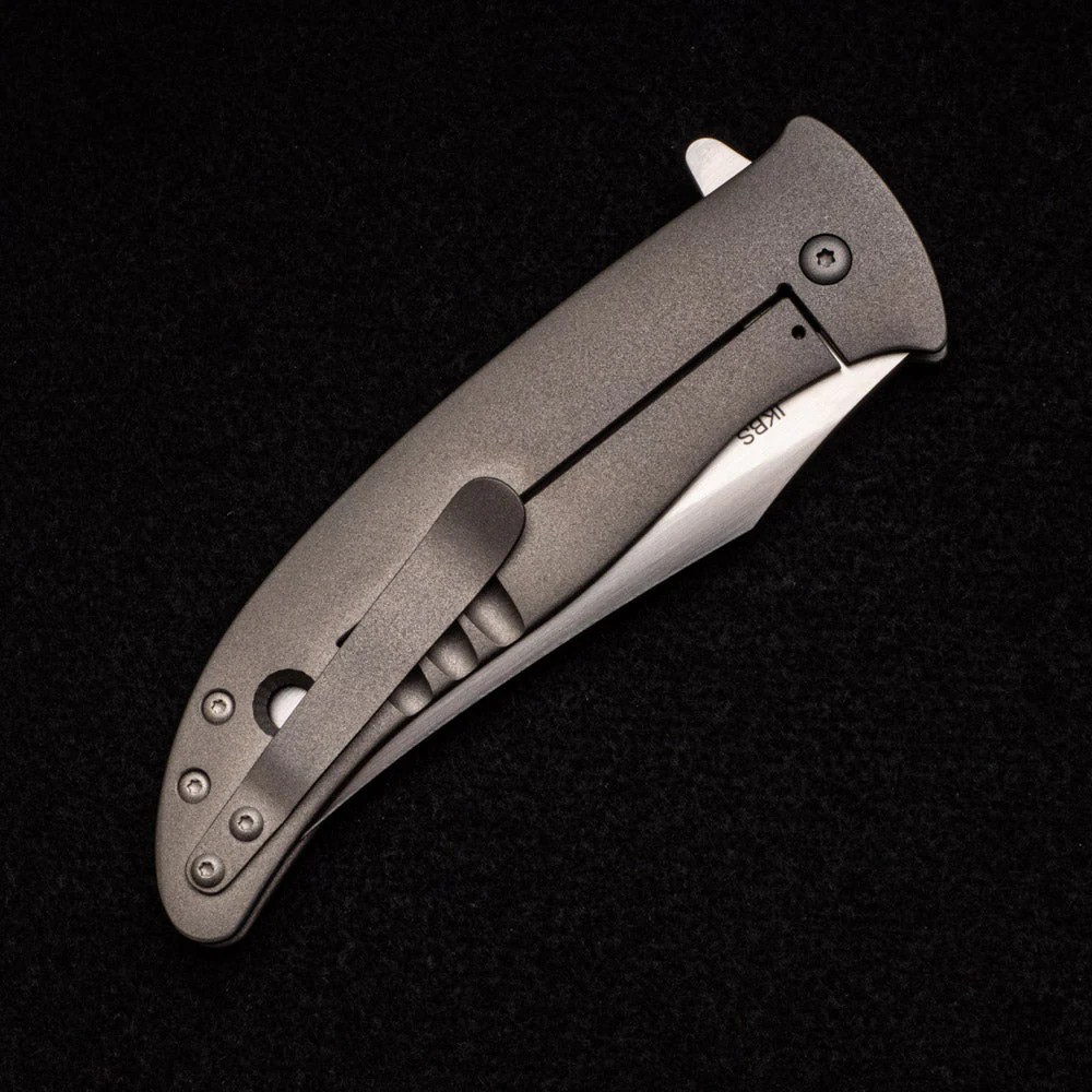 Persian Flipper - Image 5